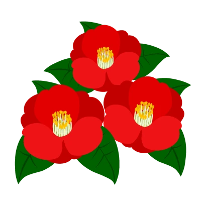 椿の花