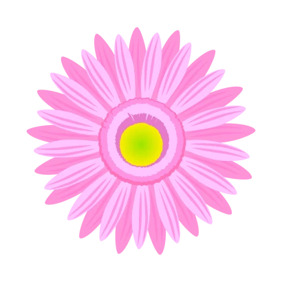 薄ピンクガーベラの花