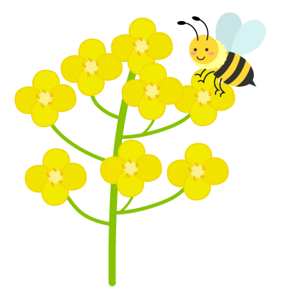 菜の花とミツバチ