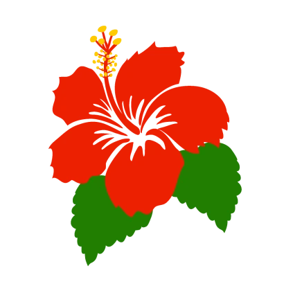 シンプルなハイビスカスの花