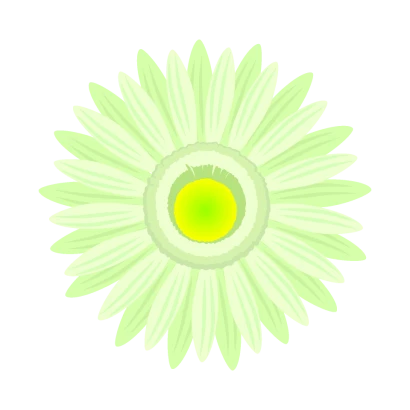 黄緑ガーベラの花