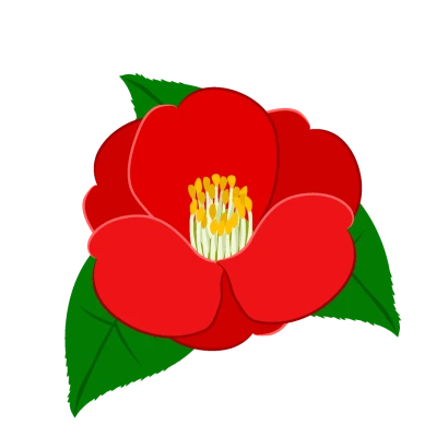 椿の花