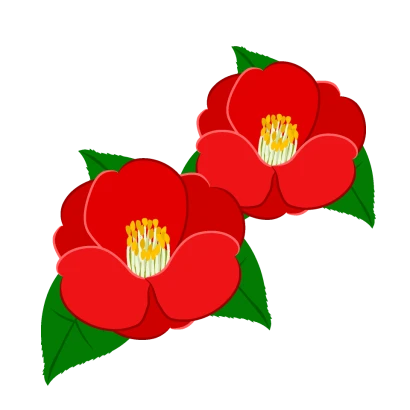 椿の花