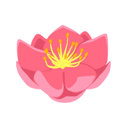 桃の花（横）