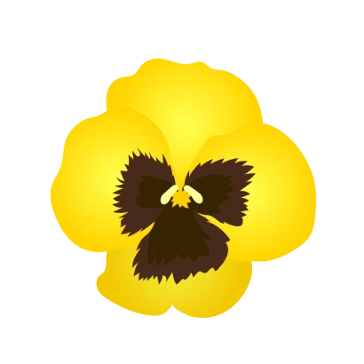 黄色パンジーの花