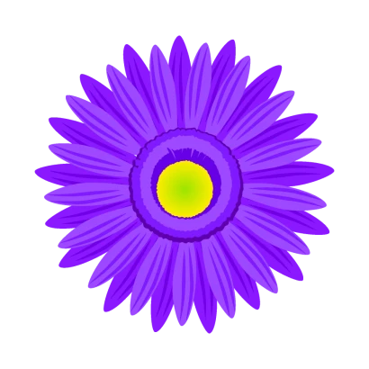 紫色ガーベラの花