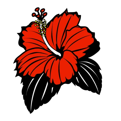 レッドハイビスカス（墨）