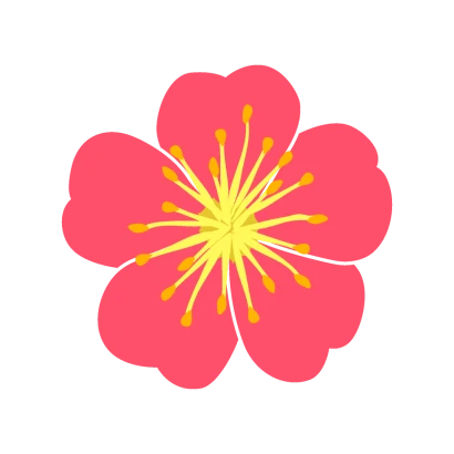 ピンクの梅の花