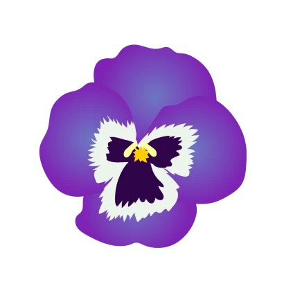 パンジー花