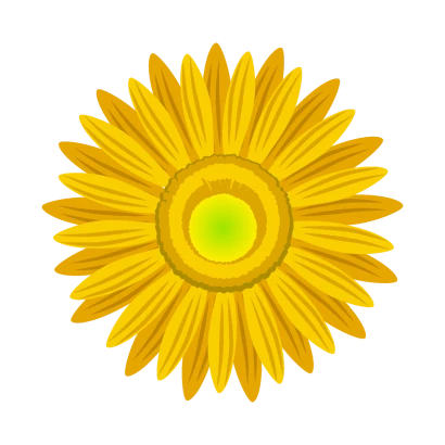 黄色ガーベラの花