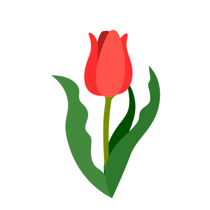 チューリップの花