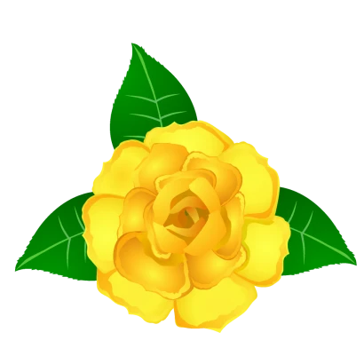 黄色ばらの花