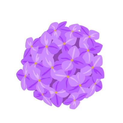 あじさいの花