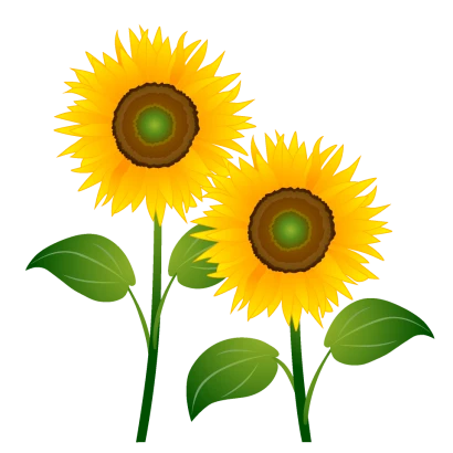 ２本のひまわり花