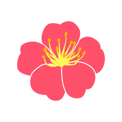 ピンクの梅の花（横）