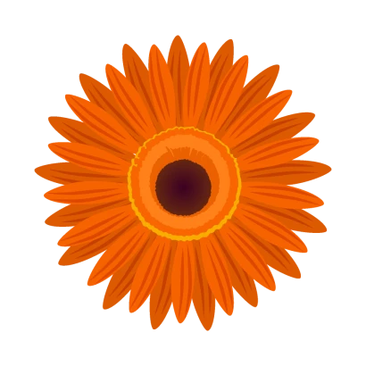 オレンジガーベラの花