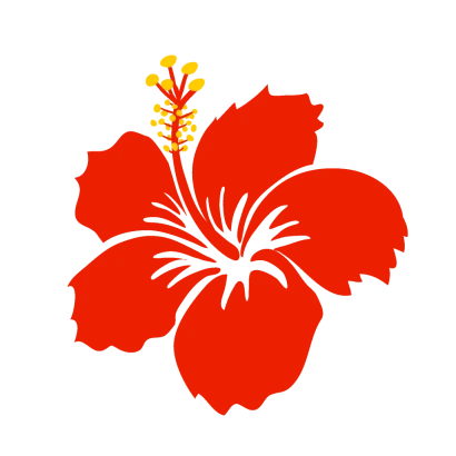 シルエットのハイビスカス