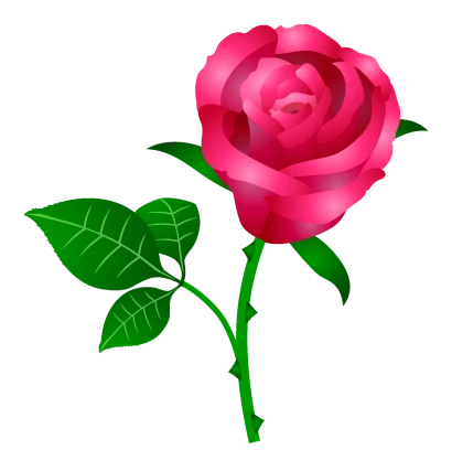 薔薇