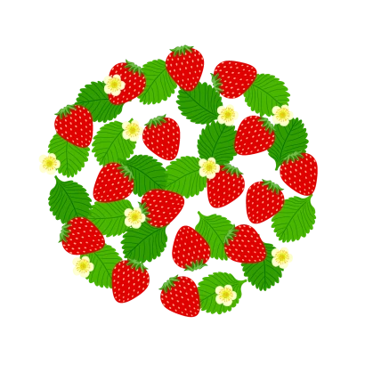 苺と花サークル