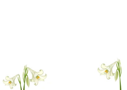 百合の花の壁紙