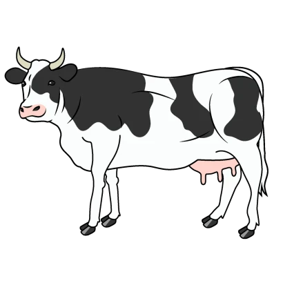 ホルスタインの乳牛のイラスト