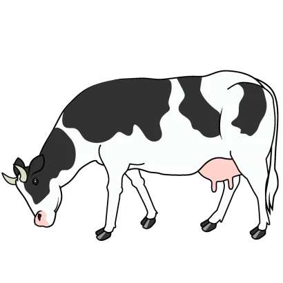 草を食べる乳牛のイラスト