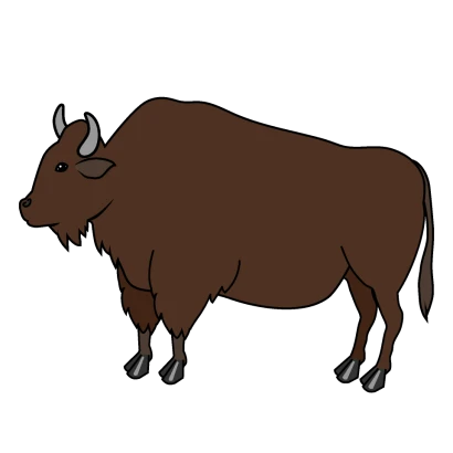 アメリカバイソンのイラスト