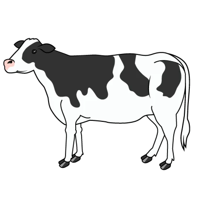 角の無い牛のイラスト