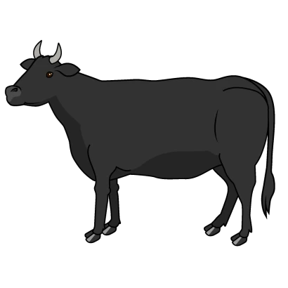 黒牛のイラスト