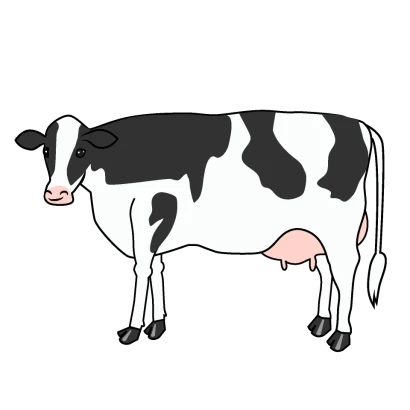 ホルスタインの牛のイラスト