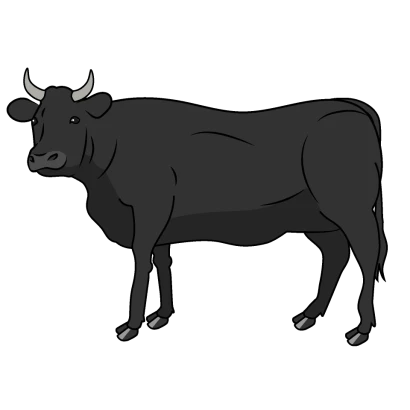 黒毛和牛のイラスト