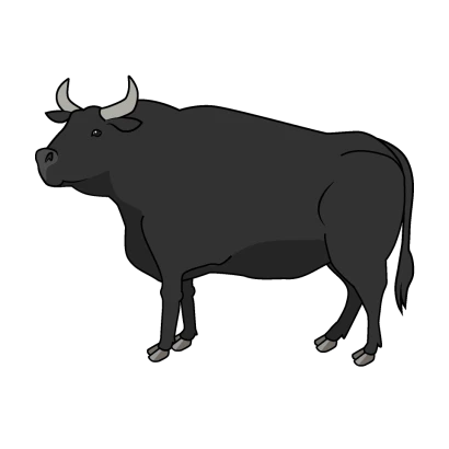 横から見た闘牛のイラスト