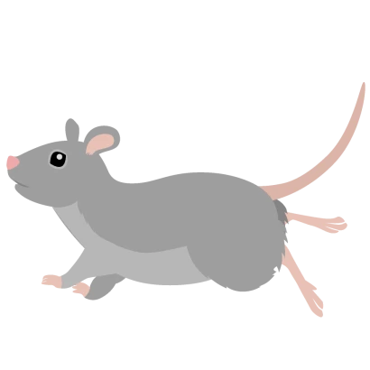 走るネズミ（横）のイラスト