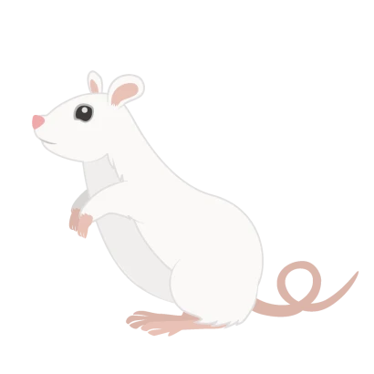 立ち上がる白鼠のイラスト