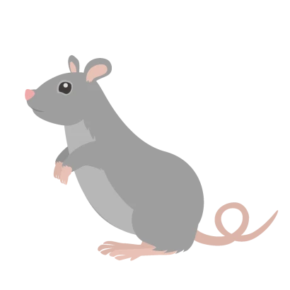 立ち上がるネズミのイラスト