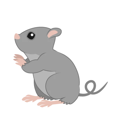 見上げる鼠（横）のイラスト