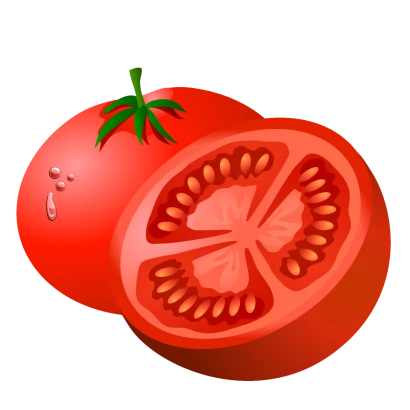 フレッシュなトマトのイラスト