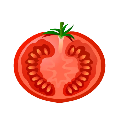 カットしたトマトのイラスト