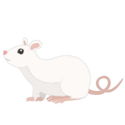 白ネズミ（横）のイラスト