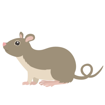 茶色ハツカネズミ（横）のイラスト