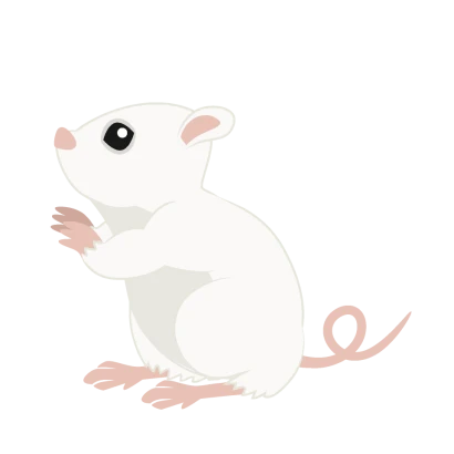 見上げる白鼠（横）のイラスト