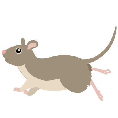 走るハツカネズミ（横）のイラスト