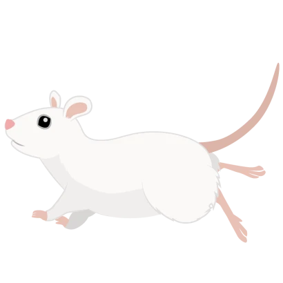 走る白鼠（横）のイラスト