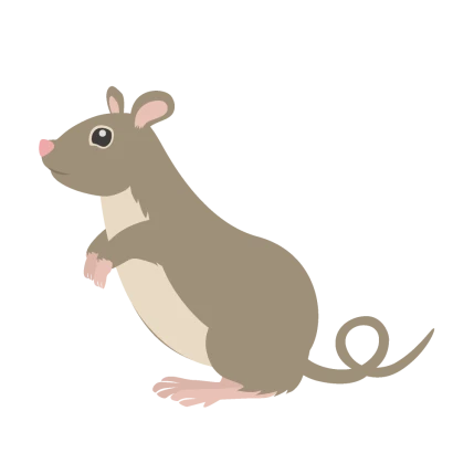 立ち上がるハツカネズミ（横）のイラスト