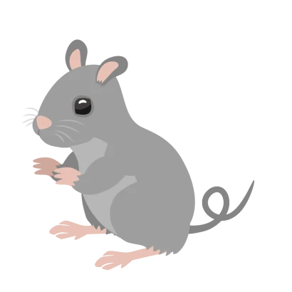 鼠のイラスト
