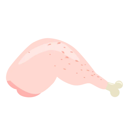 生の鶏肉のイラスト
