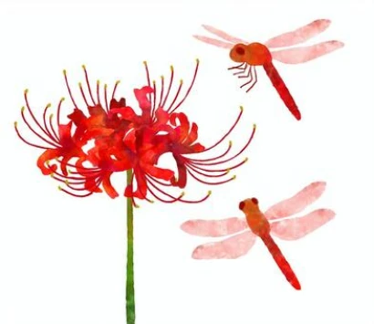 曼珠沙華と赤とんぼ