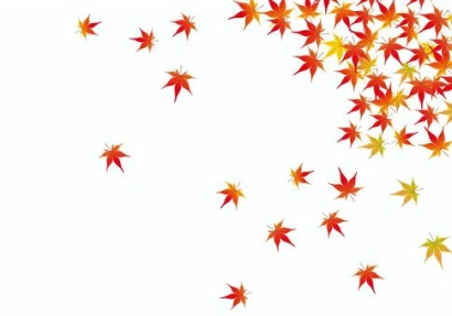 秋フレームで紅葉のもみじ散る背景3