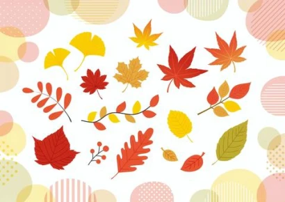 オシャレポップな紅葉のイラストセット