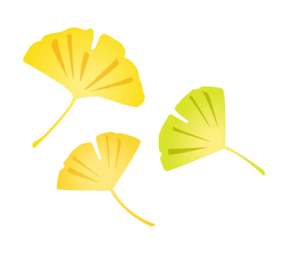 ３枚のイチョウの葉のイラスト